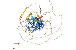 AlphaFold protein structure predicition of Mouse Recombinant Dcaf5 Protein, UniprotID Q80T85