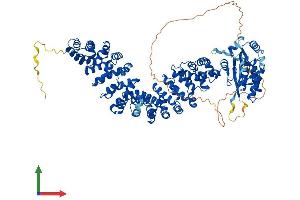 AlphaFold protein structure predicition of Human Recombinant ARMC3 Protein, UniprotID Q5W041