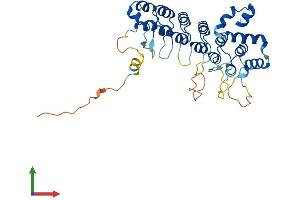 AlphaFold protein structure predicition of Human Recombinant ASB1 Protein, UniprotID Q9Y576