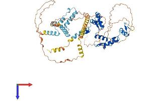 AlphaFold protein structure predicition of Human Recombinant ZKSCAN1 Protein, UniprotID P17029