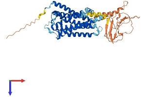 AlphaFold protein structure predicition of Human Recombinant ADRA1A Protein, UniprotID P35348