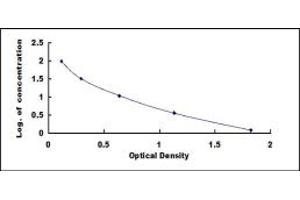 Coagulation Factor 13, B Polypeptide (F13B) ELISA Kit