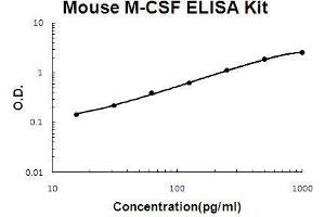 Mouse M-CSF PicoKine ELISA Kit standard curve (CCL3 Kit ELISA)