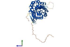 AlphaFold protein structure predicition of Human Recombinant ODC1 Protein, UniprotID P11926