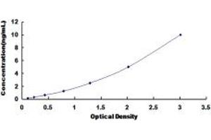 Typical standard curve (NPSR1 Kit ELISA)