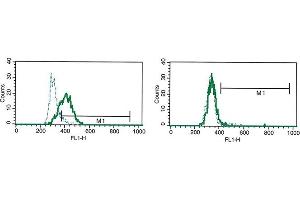 Flow Cytometry (FACS) image for anti-Interleukin-27 Subunit alpha (IL27) antibody (ABIN1107834) (IL27 anticorps)