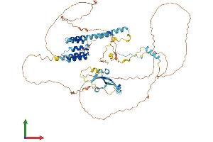 AlphaFold protein structure predicition of Mouse Recombinant Ckap2 Protein, UniprotID Q3V1H1