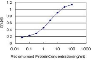 ELISA image for anti-Formiminotransferase Cyclodeaminase (FTCD) (AA 440-542) antibody (ABIN599156) (FTCD anticorps  (AA 440-542))