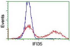 HEK293T cells transfected with either RC200929 overexpress plasmid (Red) or empty vector control plasmid (Blue) were immunostained by anti-IFI35 antibody (ABIN2454905), and then analyzed by flow cytometry. (IFI35 anticorps)