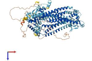 AlphaFold protein structure predicition of Human Recombinant ANO7 Protein, UniprotID Q6IWH7