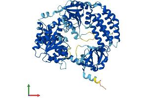 AlphaFold protein structure predicition of Human Recombinant DHX58 Protein, UniprotID Q96C10