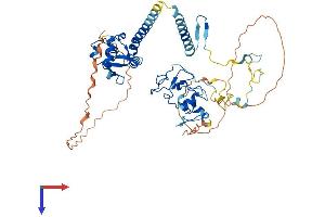 AlphaFold protein structure predicition of Mouse Recombinant Phf10 Protein, UniprotID Q9D8M7
