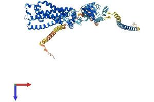 AlphaFold protein structure predicition of Mouse Recombinant Cnga3 Protein, UniprotID Q9JJZ8