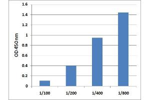 5MedCyd ELISA Standard Curve. (Global DNA Methylation Kit ELISA)