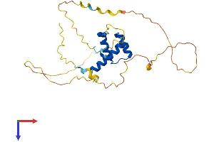 AlphaFold protein structure predicition of Human Recombinant HOXD4 Protein, UniprotID P09016