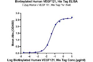 Immobilized Human VEGF R1, His Tag at 2 μg/mL (100 μL/well) on the plate.