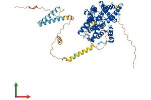 AlphaFold protein structure predicition of Mouse Recombinant Pde1b Protein, UniprotID Q01065
