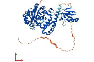 AlphaFold protein structure predicition of Mouse Recombinant Dus2 Protein, UniprotID Q9D7B1