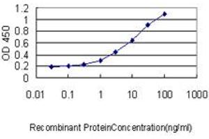 Detection limit for recombinant GST tagged BAIAP2 is approximately 0.