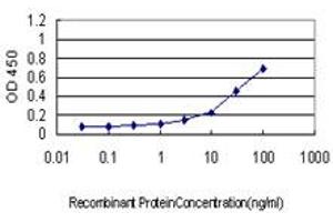 Detection limit for recombinant GST tagged IL13RA1 is approximately 1ng/ml as a capture antibody.