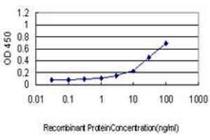 Detection limit for recombinant GST tagged IL13RA1 is approximately 1ng/ml as a capture antibody. (IL13 Receptor alpha 1 anticorps  (AA 1-427))