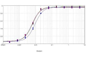 Goat anti-Chicken IgG (Heavy & Light Chain) antibody (HRP)
