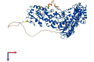 AlphaFold protein structure predicition of Human Recombinant KDM1B Protein, UniprotID Q8NB78