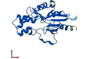 AlphaFold protein structure predicition of Human Recombinant NT5C Protein, UniprotID Q8TCD5