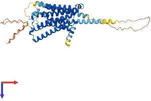 AlphaFold protein structure predicition of Human Recombinant HTR1B Protein, UniprotID P28222