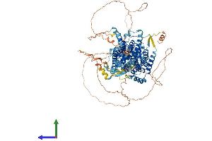 AlphaFold protein structure predicition of Human Recombinant SLC26A8 Protein, UniprotID Q96RN1