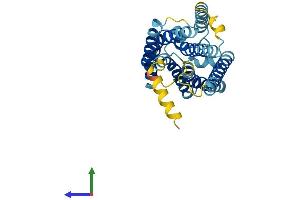 AlphaFold protein structure predicition of Human Recombinant GPR141 Protein, UniprotID Q7Z602