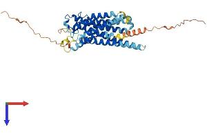 AlphaFold protein structure predicition of Mouse Recombinant Ptger3 Protein, UniprotID P30557