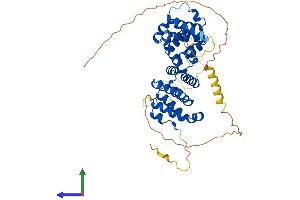AlphaFold protein structure predicition of Mouse Recombinant Pdcd4 Protein, UniprotID Q61823
