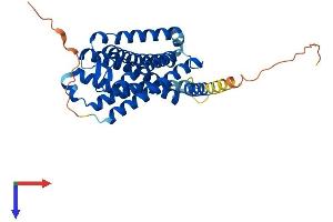 AlphaFold protein structure predicition of Human Recombinant MTNR1A Protein, UniprotID P48039