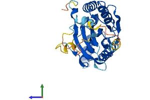 AlphaFold protein structure predicition of Mouse Recombinant Tigar Protein, UniprotID Q8BZA9