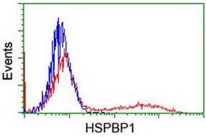 HEK293T cells transfected with either RC201814 overexpress plasmid (Red) or empty vector control plasmid (Blue) were immunostained by anti-HSPBP1 antibody (ABIN2455030), and then analyzed by flow cytometry. (HSPBP1 anticorps)