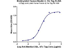 Immobilized Biotinylated Human Nectin-4, His Tag at 0.
