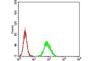 Flow cytometric analysis of Hela cells using EZR mouse mAb (green) and negative control (red).