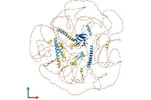 AlphaFold protein structure predicition of Mouse Recombinant Cep170b Protein, UniprotID Q80U49