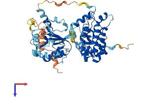 AlphaFold protein structure predicition of Human Recombinant ARHGAP1 Protein, UniprotID Q07960