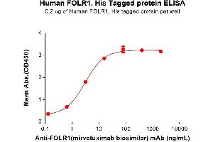 ELISA plate pre-coated by 2 μg/mL (100 μL/well) Human F Protein, His Tag (ABIN7092684, ABIN7272214 and ABIN7272215) can bind Anti-F(mirvetuximab biosimilar) mAb ((ABIN7538763)) in a linear range of 0.