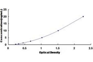 Typical standard curve (RNF39 Kit ELISA)
