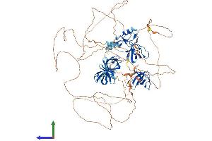 AlphaFold protein structure predicition of Mouse Recombinant Sh3rf1 Protein, UniprotID Q69ZI1