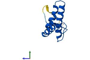 AlphaFold protein structure predicition of Mouse Recombinant Cox6b2 Protein, UniprotID Q80ZN9