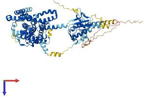 AlphaFold protein structure predicition of Mouse Recombinant Slc26a5 Protein, UniprotID Q99NH7