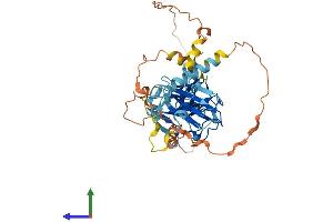 AlphaFold protein structure predicition of Human Recombinant RNF39 Protein, UniprotID Q9H2S5