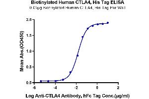 Immobilized Biotinylated Human CTLA4, His Tag at 0.
