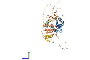 AlphaFold protein structure predicition of Mouse Recombinant Nrf1 Protein, UniprotID Q9WU00