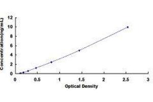 Granzyme M (Lymphocyte Met-Ase 1) (GZMM) ELISA Kit