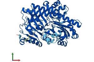 AlphaFold protein structure predicition of Mouse Recombinant Rtcb Protein, UniprotID Q99LF4